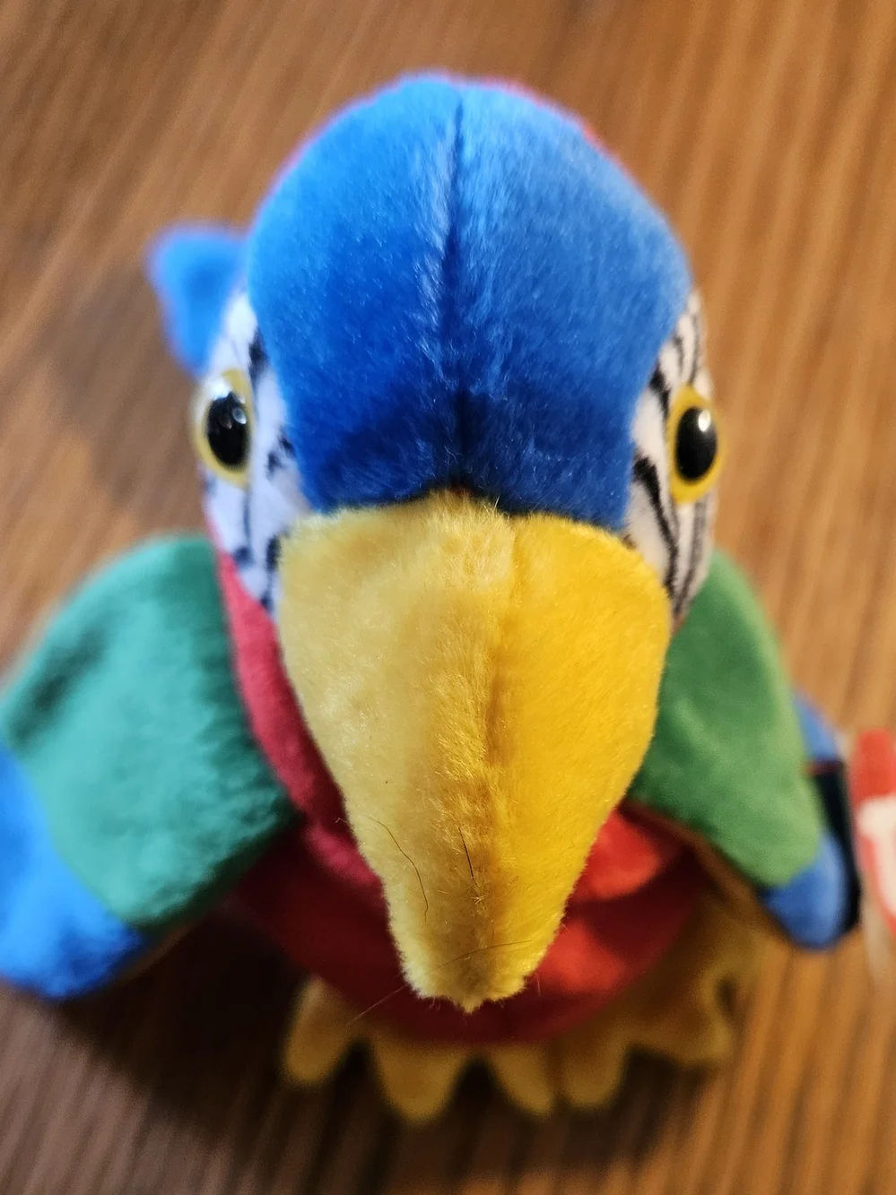 Ty Multicolor Plush Parrot Toy - Blue, Red, Green, Yellow Jabber 6.5